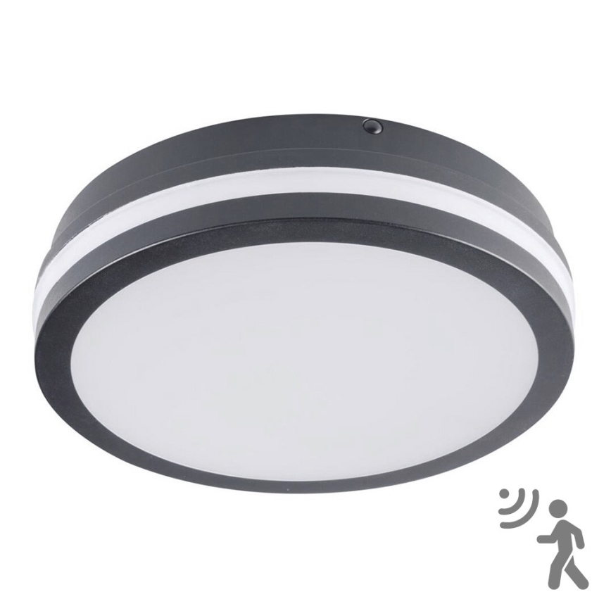 Brilagi - LED Buitenverlichting met sensor BENE LED/18W/230V diameter 22 cm antraciet IP54