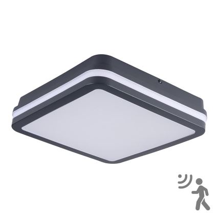 Brilagi - LED Buitenverlichting met sensor BENE LED/24W/230V 26x26 cm antraciet IP54