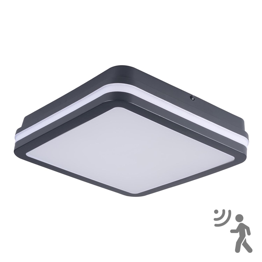 Brilagi - LED Buitenverlichting met sensor BENE LED/24W/230V 26x26 cm antraciet IP54