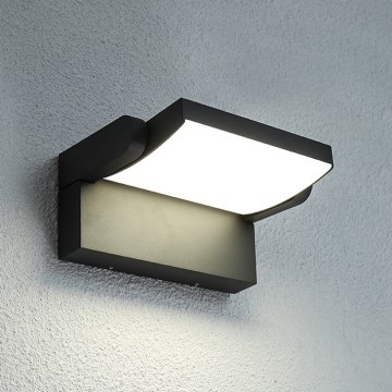 BRILAGI - LED Buitenwandlamp ANKLE LED/12W/230V IP65 zwart
