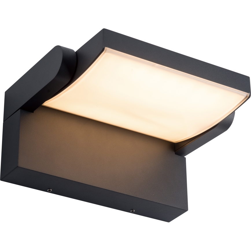 BRILAGI - LED Buitenwandlamp ANKLE LED/12W/230V IP65 zwart