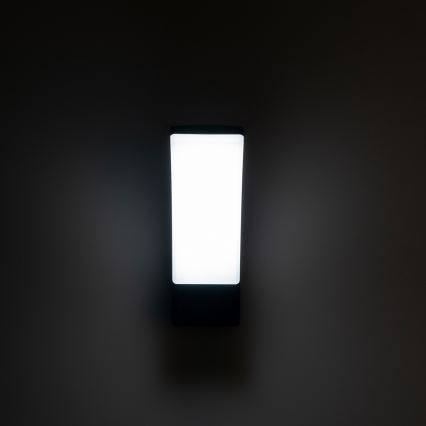 BRILAGI - LED buitenwandlamp ARCELO LED/12W/230V IP65 zwart