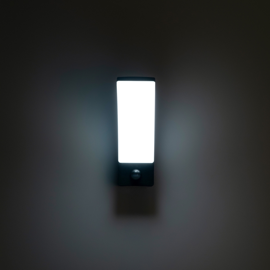 BRILAGI - LED buitenwandlamp met bewegings- en schemersensor ARCELO LED/12W/230V IP65 zwart