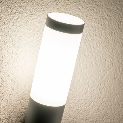 BRILAGI - LED buitenwandlamp ELIA 1xE27/7W/230V 4000K IP44 antraciet