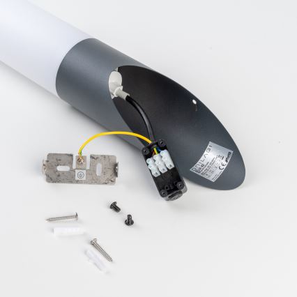 BRILAGI - LED buitenwandlamp ELIA 1xE27/7W/230V 4000K IP44 antraciet