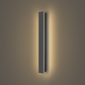 Brilagi - LED buitenwandlamp LINEAR LED/12W/230V 3000K IP65 50 cm antraciet