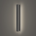 Brilagi - LED buitenwandlamp LINEAR LED/12W/230V 4000K IP65 50 cm antraciet CRI 90
