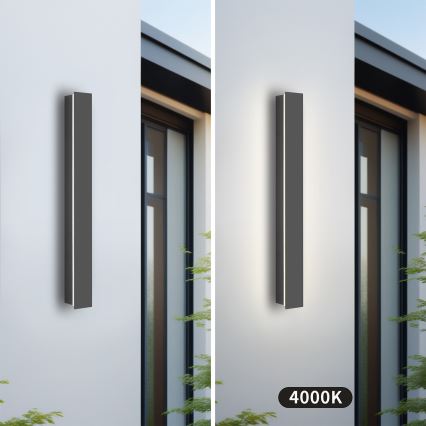 Brilagi - LED buitenwandlamp LINEAR LED/12W/230V 4000K IP65 50 cm antraciet CRI 90
