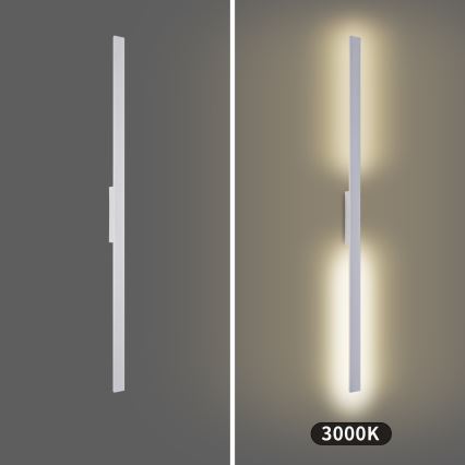 Brilagi - LED buitenwandlamp LUNA LED/30W/230V 3000K IP65 150 cm wit CRI 90
