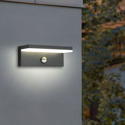 Brilagi - LED buitenmuurlamp met sensor TESSI LED/10W/230V antraciet IP54