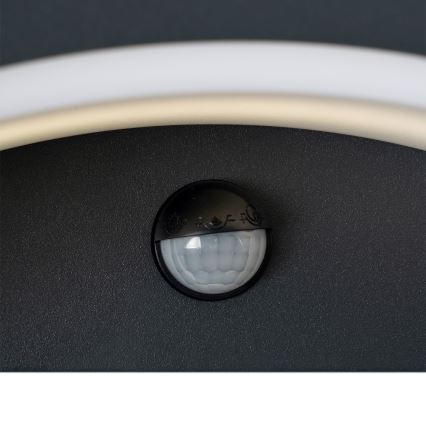 Brilagi - LED Buitenwandlamp met sensor ARCELO LED/8W/230V IP54