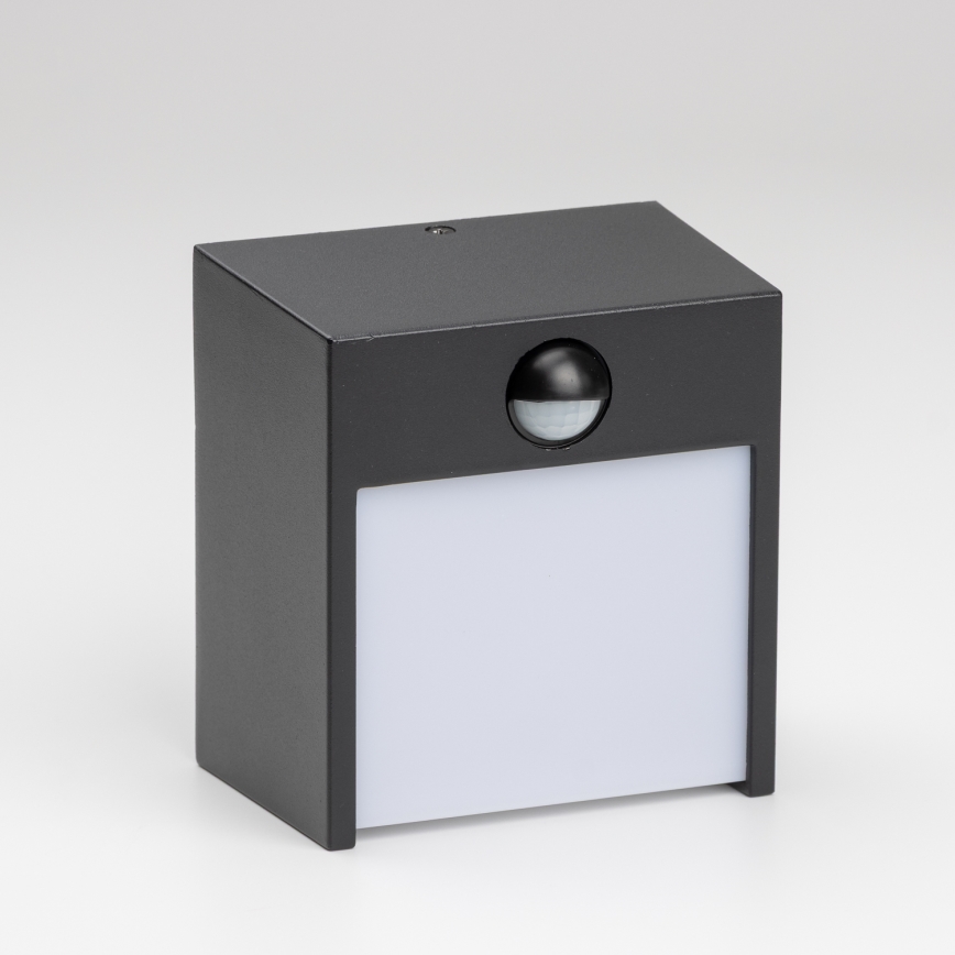 Brilagi - LED Buitenwandlamp met sensor TERNI LED/12W/230V zwart IP44