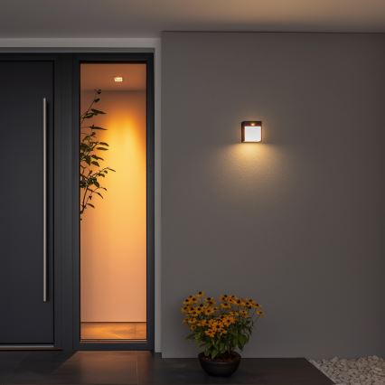 Brilagi - LED Buitenwandlamp met sensor TERNI LED/12W/230V zwart IP44