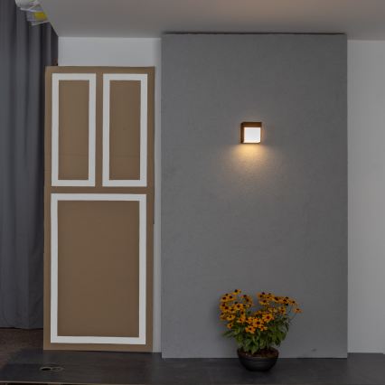 BRILAGI - LED buitenwandlamp TERNI LED/12W/230V bruin IP44