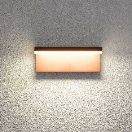 Brilagi - LED buitenwandlamp TESSI LED/10W/230V, bruin, IP54