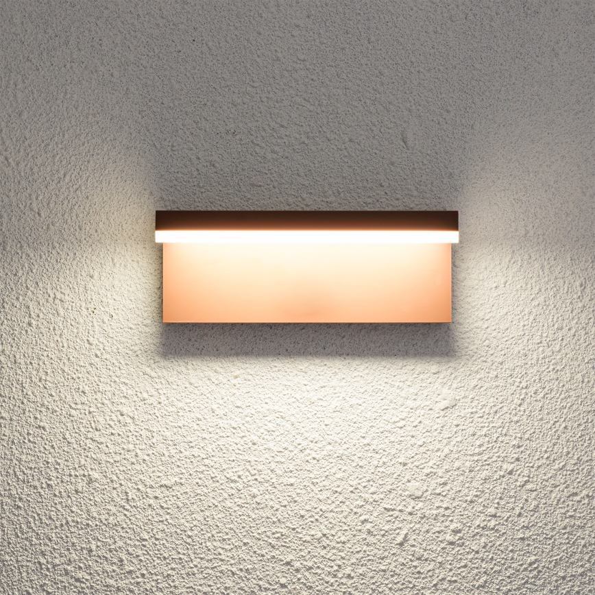 Brilagi - LED buitenwandlamp TESSI LED/10W/230V, bruin, IP54