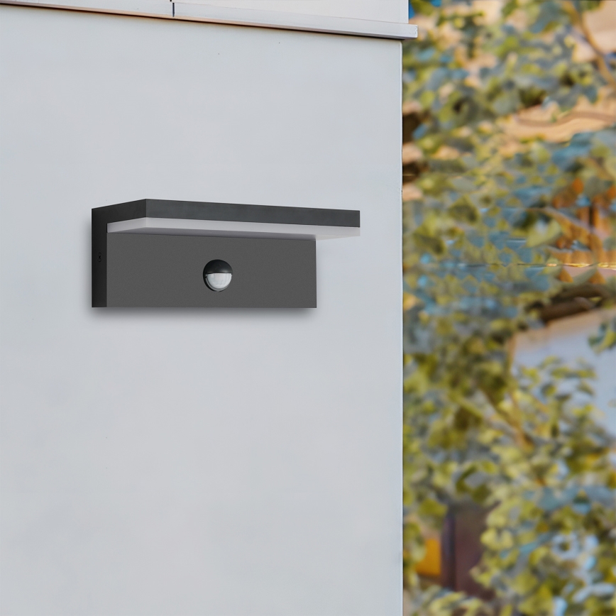 Brilagi - LED buitenwandlamp met sensor TESSI LED/10W/230V zwart IP54