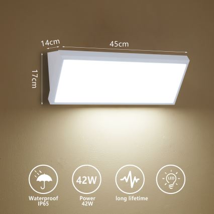 Brilagi - LED buitenwandlamp TRIANGLE LED/42W/230V 3000/4000/6500K wit IP65