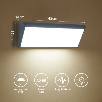 Brilagi - LED buitenwandlamp TRIANGLE LED/42W/230V antraciet IP65