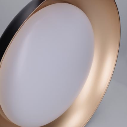 Brilagi - LED-dimbare plafondlamp ALVA LED/48W/230V 3000-6500K Ø 51 cm zwart + afstandsbediening