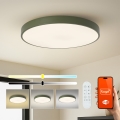 Brilagi - LED-dimbaar armatuur POOL SMART LED/100W/230V Ø 80 cm 3000-6000K Wi-Fi Tuya + afstandsbediening groen