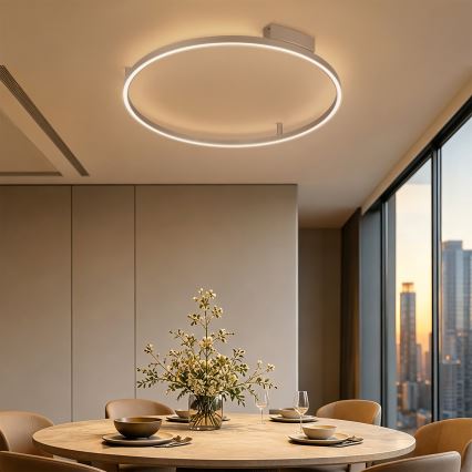 Brilagi - LED dimbare plafondlamp PORTOFINO LED/60W/230V 3000-6000K Ø 80 cm beige + afstandsbediening