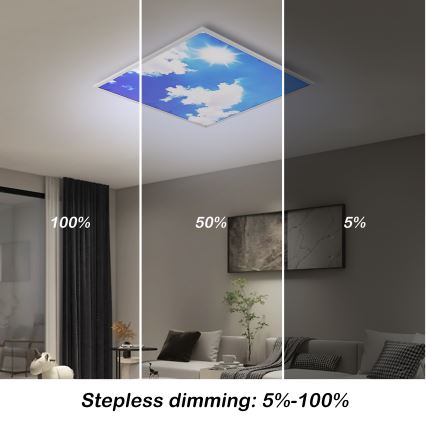 Brilagi - Dimbare LED-plafondlamp SLIMFRAME SKY LED/58W/230V 60x60 cm 3000-6000K zilver/blauw + afstandsbediening