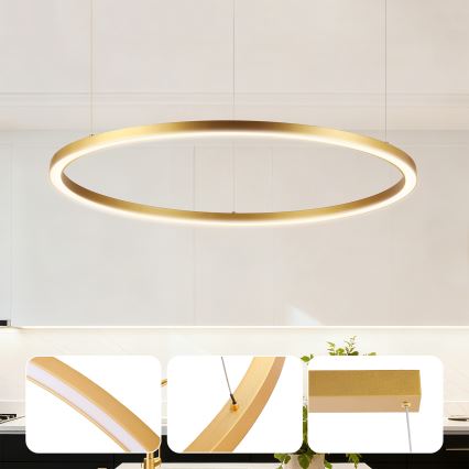 Brilagi - LED-dimbare hanglamp aan kabel PORTOFINO LED/60W/230V 3000-6000K Ø 80 cm goudkleurig + afstandsbediening