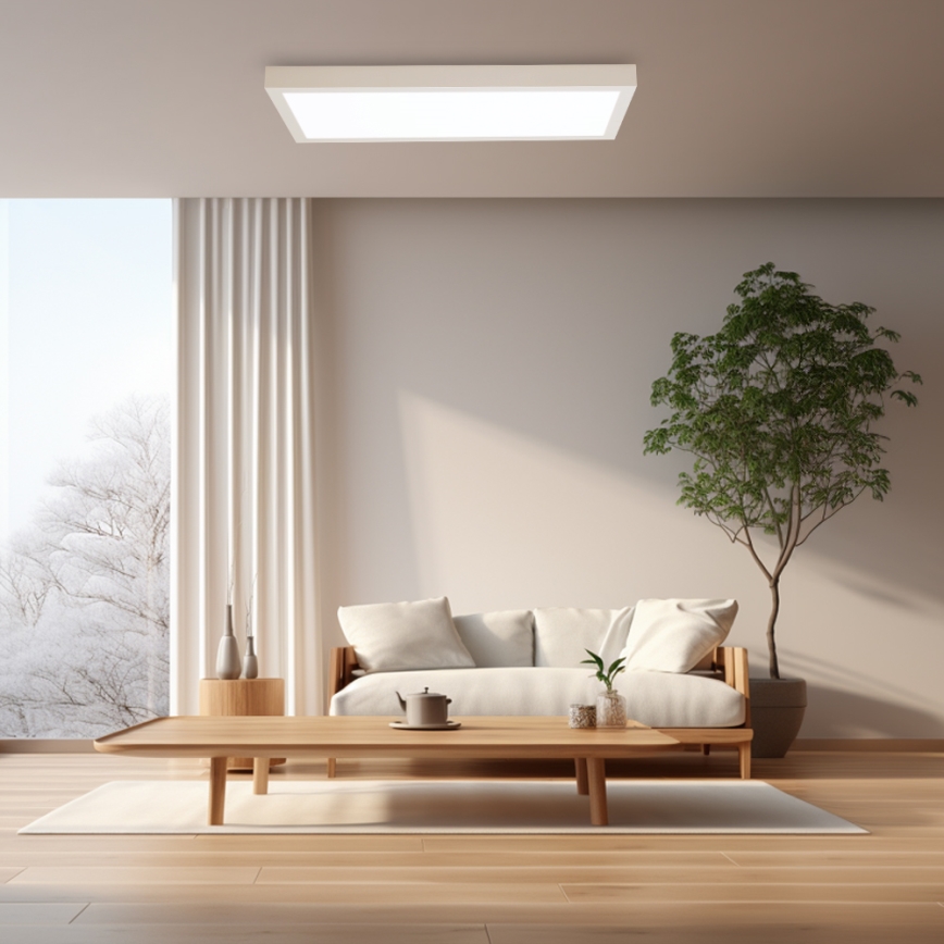 Brilagi - LED Dimbare badkamer plafondverlichting FRAME SMART LED/30W/230V 30x60 cm 3000-6000K IP44 wit + afstandsbediening