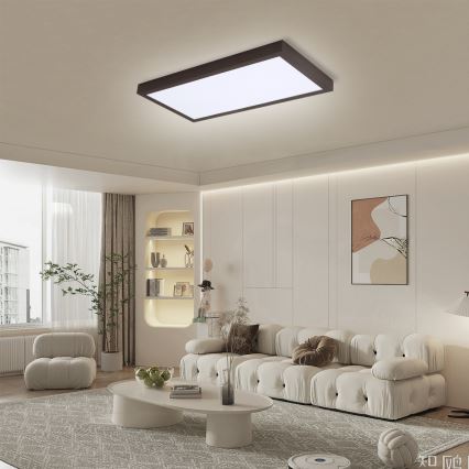 Brilagi - LED Dimbare badkamer plafondverlichting FRAME SMART LED/30W/230V 30x60 cm 3000-6000K  IP44 zwart  + afstandsbediening