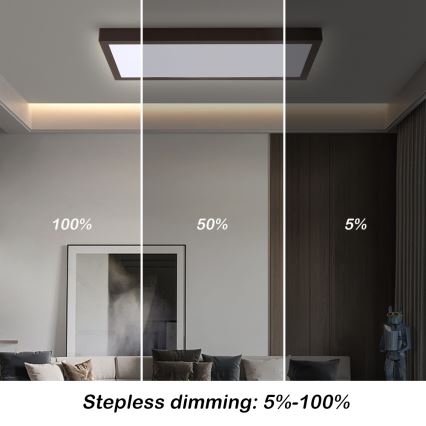 Brilagi - LED Dimbare badkamer plafondverlichting FRAME SMART LED/30W/230V 30x60 cm 3000-6000K  IP44 zwart  + afstandsbediening
