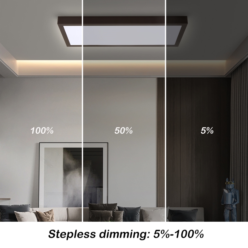 Brilagi - LED Dimbare badkamer plafondverlichting FRAME SMART LED/30W/230V 30x60 cm 3000-6000K  IP44 zwart  + afstandsbediening