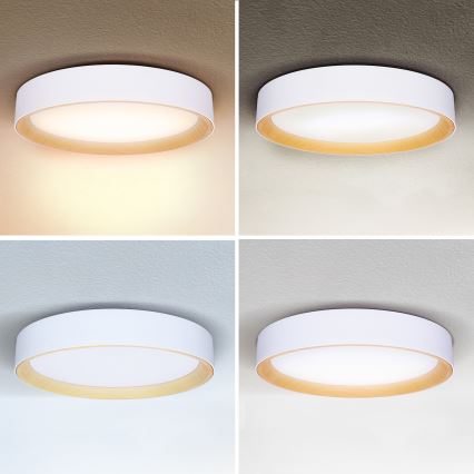Brilagi - Dimbare LED plafondlamp LARIOS LED/60W/230V 3000-6500K ø 49 cm wit + afstandsbediening