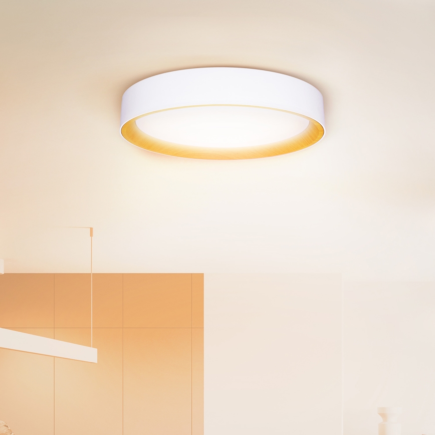 Brilagi - Dimbare LED plafondlamp LARIOS LED/60W/230V 3000-6500K ø 49 cm wit + afstandsbediening
