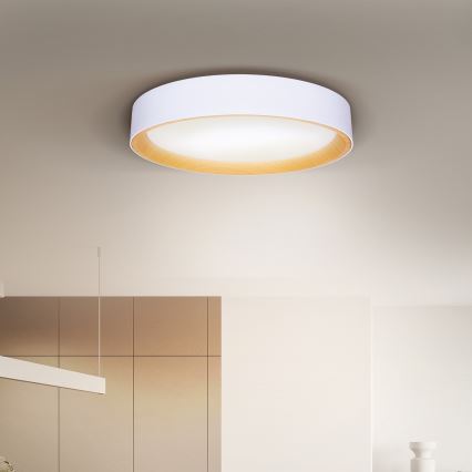 Brilagi - Dimbare LED plafondlamp LARIOS LED/60W/230V 3000-6500K ø 49 cm wit + afstandsbediening