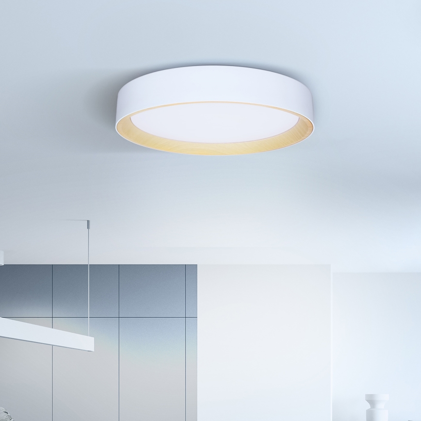Brilagi - Dimbare LED plafondlamp LARIOS LED/60W/230V 3000-6500K ø 49 cm wit + afstandsbediening