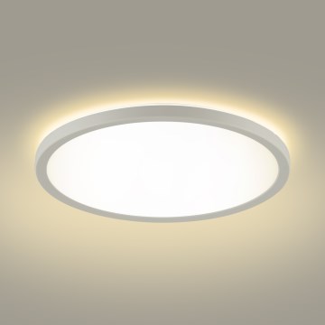 Brilagi - LED dimbaar licht met motion en dusk sensor ULTRA SLIM LED/24W/230V diameter 42 cm + afstandsbediening