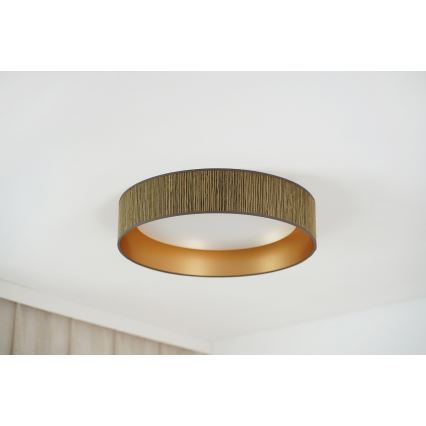 Brilagi - Dimbare LED plafondlamp VEGAS SHINE LED/24W/230V 3000/4000/6500K stro bruin/goud + afstandsbediening