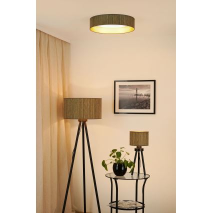 Brilagi - Dimbare LED plafondlamp VEGAS SHINE LED/24W/230V 3000/4000/6500K stro bruin/goud + afstandsbediening
