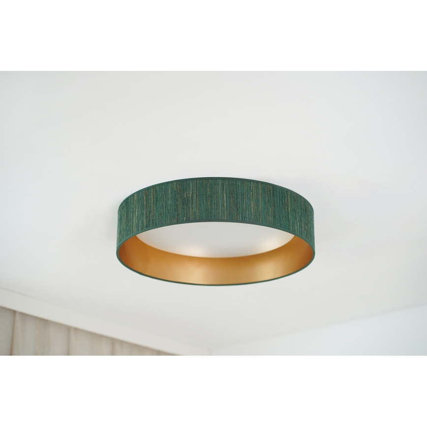 Brilagi - Dimbare LED plafondlamp VEGAS SHINE LED/24W/230V 3000/4000/6500K stro groen/goud + afstandsbediening