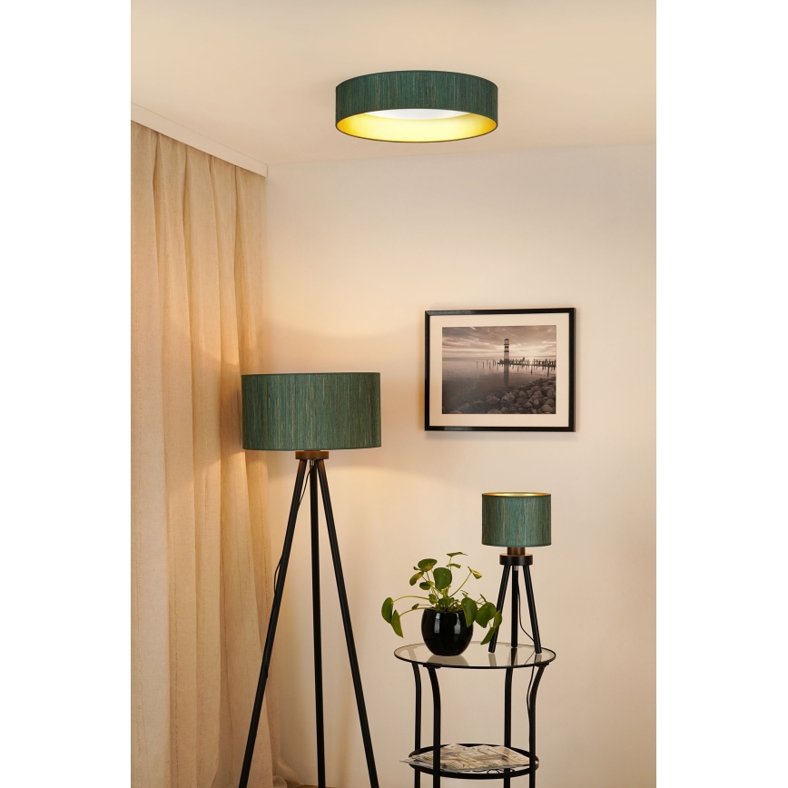 Brilagi - Dimbare LED plafondlamp VEGAS SHINE LED/24W/230V 3000/4000/6500K stro groen/goud + afstandsbediening