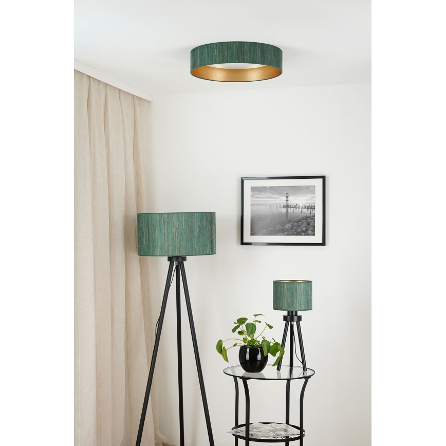 Brilagi - Dimbare LED plafondlamp VEGAS SHINE LED/24W/230V 3000/4000/6500K stro groen/goud + afstandsbediening