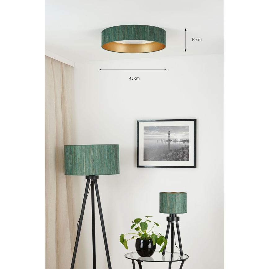 Brilagi - Dimbare LED plafondlamp VEGAS SHINE LED/24W/230V 3000/4000/6500K stro groen/goud + afstandsbediening