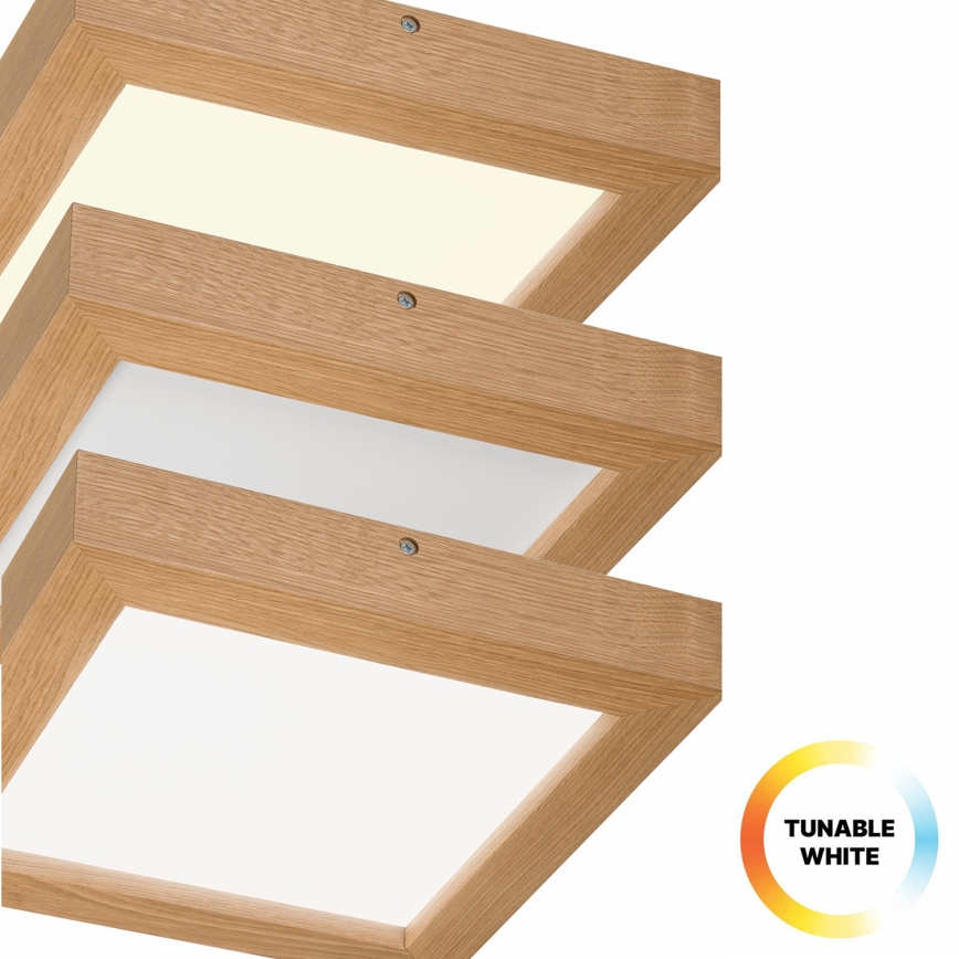 Brilagi - LED Dimbare badkamer plafondverlichting WOODY FRAME LED/24W/230V eiken 30x30 cm 3000-6000K IP44 + afstandsbediening