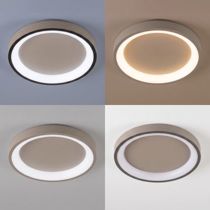 BRILAGI - LED dimbare plafondlamp FALCON SLIM LED/42W/230V 3000-6500K Ø 50 cm beige + afstandsbediening