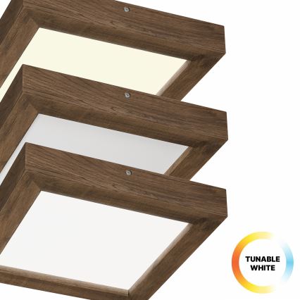 Brilagi - LED dimbare badkamer plafondlamp WOODY FRAME LED/24W/230V eiken walnoot 30x30 cm 3000-6000K IP44 + afstandsbediening