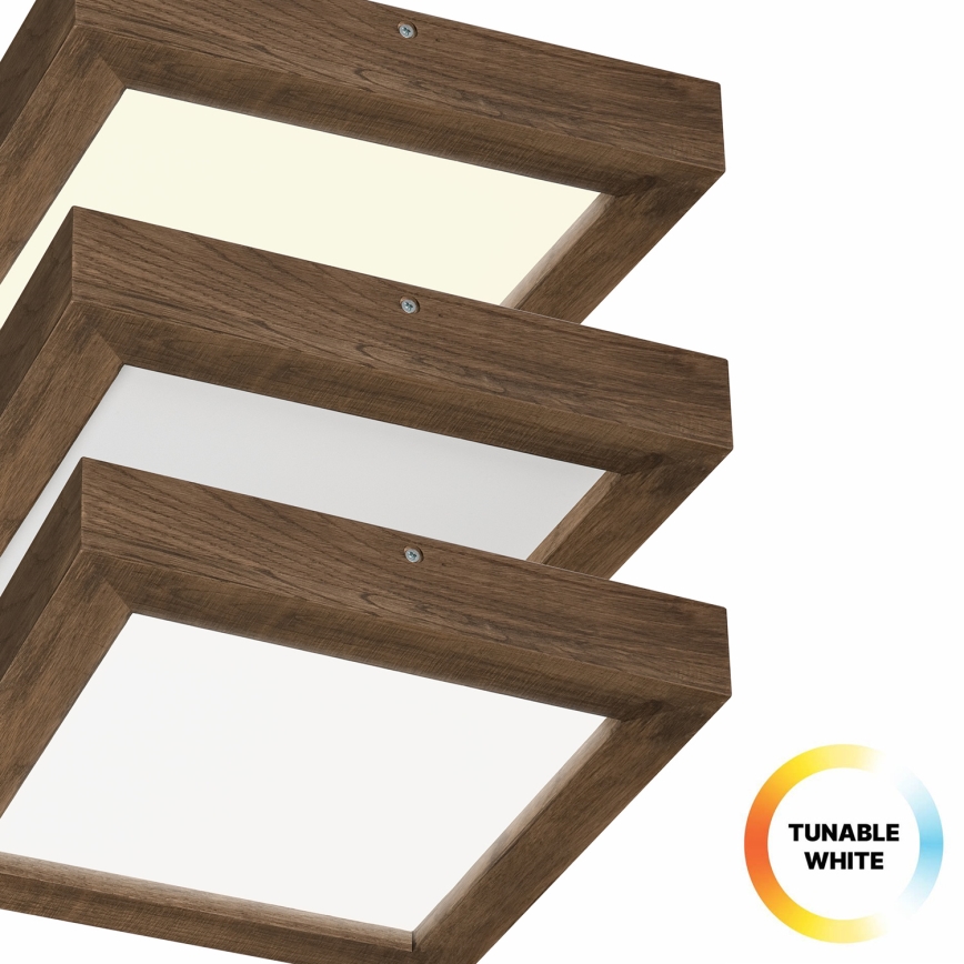 Brilagi - LED dimbare badkamer plafondlamp WOODY FRAME LED/24W/230V eiken walnoot 30x30 cm 3000-6000K IP44 + afstandsbediening