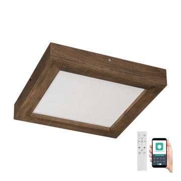 Brilagi - LED Dimbare badkamer plafondverlichting WOODY FRAME LED/24W/230V eiken 30x30 cm 3000-6000K IP44 + afstandsbediening
