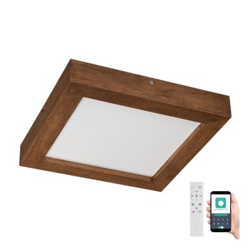 Brilagi - LED Dimbare badkamer plafondverlichting WOODY FRAME LED/24W/230V eiken kers 30x30 cm 3000-6000K IP44 + afstandsbediening