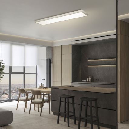Brilagi - LED Dimbare badkamer plafondverlichting FRAME SMART LED/50W/230V 120x30 cm 3000-6000K IP44 zilver + afstandsbediening